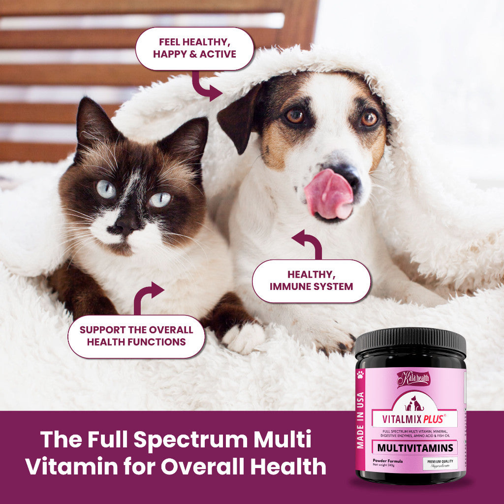 Kala Health Vitalmix Plus Powder 240g