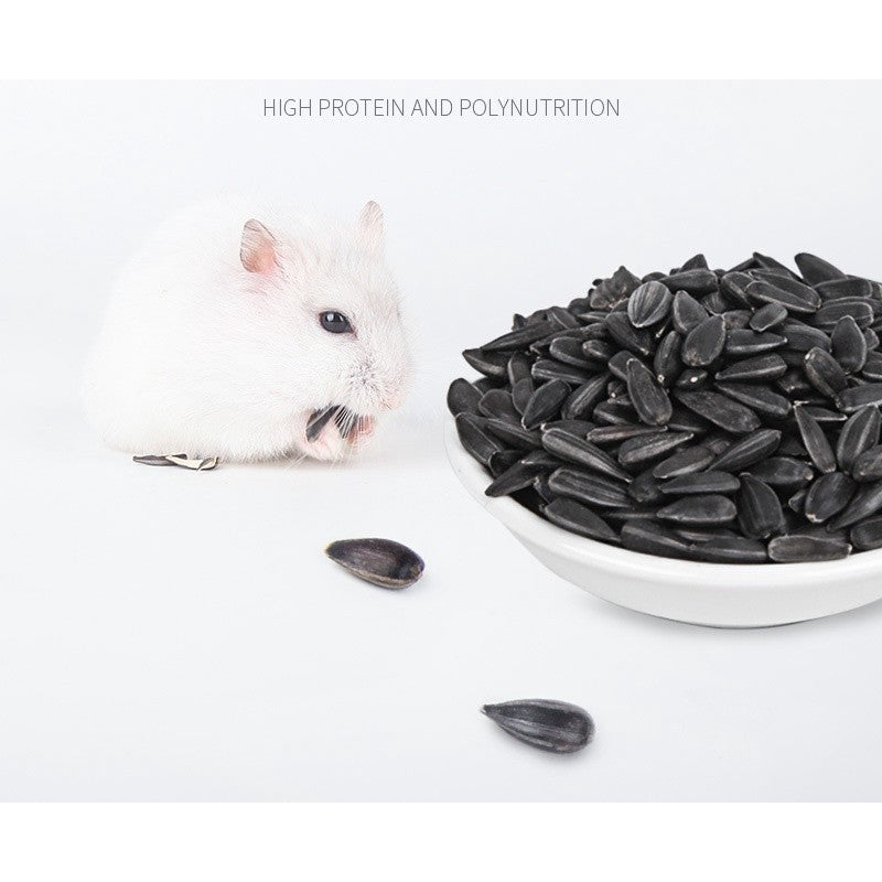 Jonsanty Sunflower Seeds