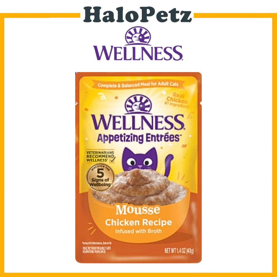 Wellness Core Tiny Tasters 1.75 oz