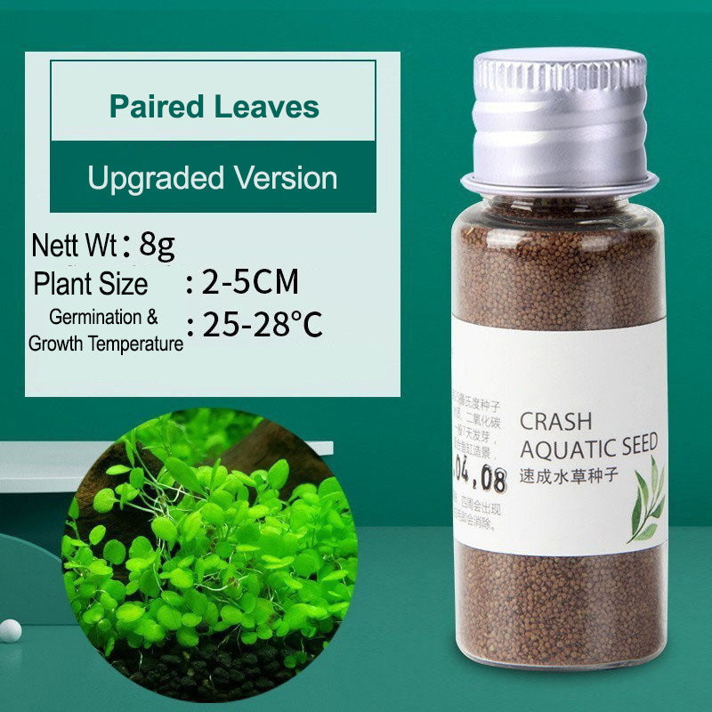 YEE Aquarium Plant Seeds
