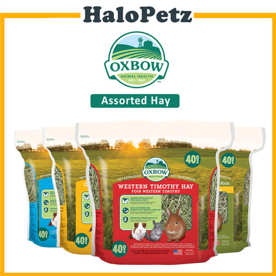 Oxbow Hay -Timothy, Orchard Grass, Oat, Alfalfa,  Hay Blend