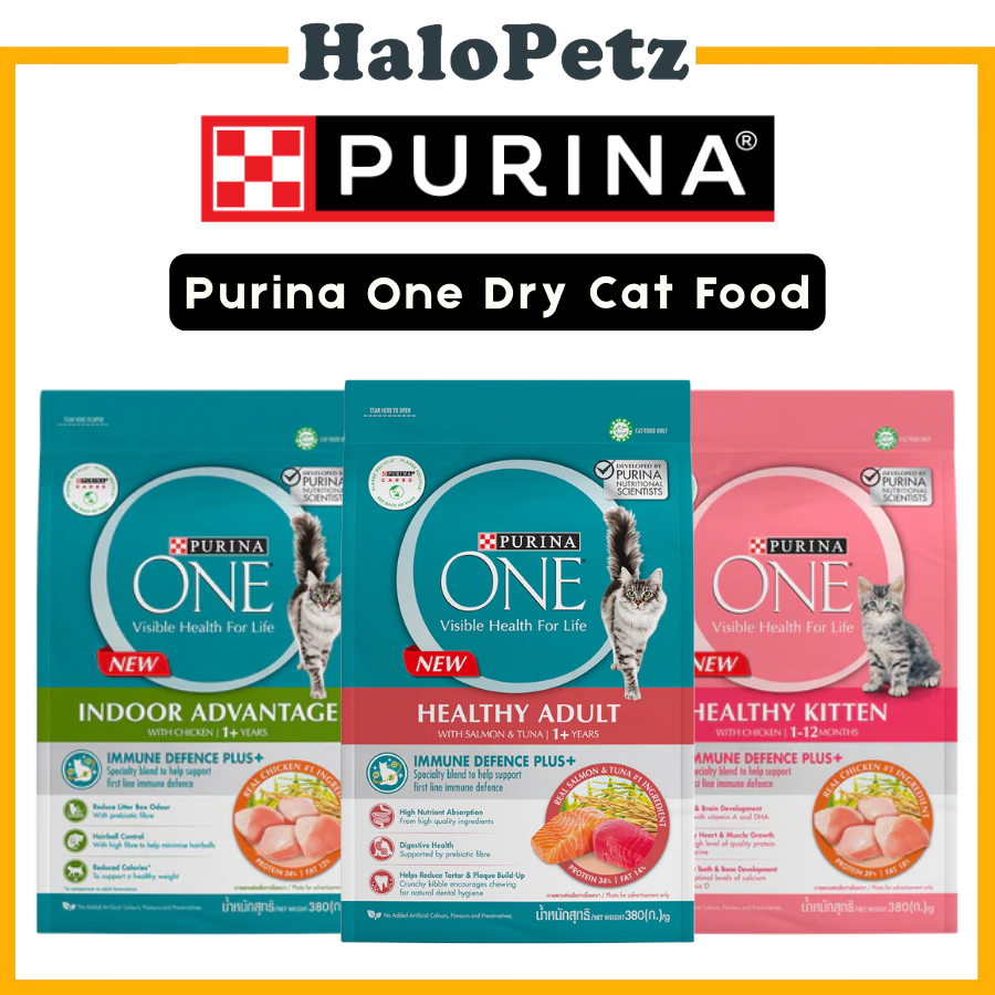 Purina ONE Cat Dry Food Kibbles 380g | Hairball, Urinary, Kitten, Adult Salmon