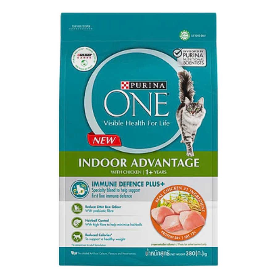 Purina ONE Cat Dry Food Kibbles 380g | Hairball, Urinary, Kitten, Adult Salmon