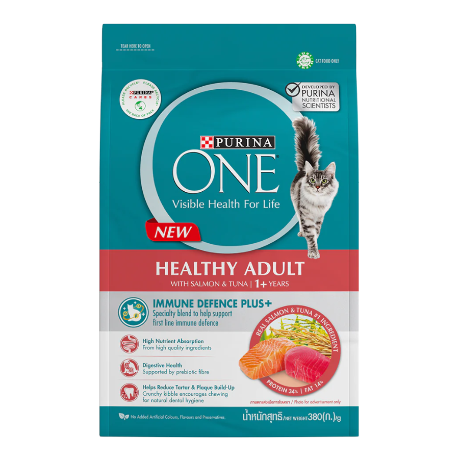 Purina ONE Cat Dry Food Kibbles 380g | Hairball, Urinary, Kitten, Adult Salmon