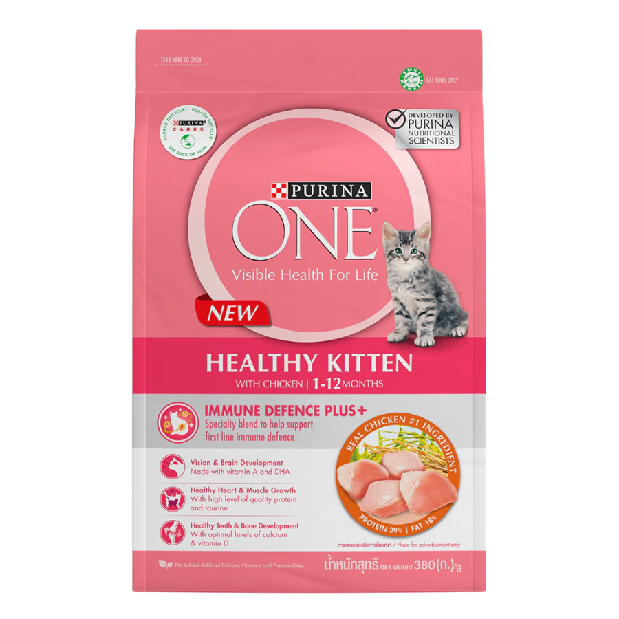 Purina ONE Cat Dry Food Kibbles 380g | Hairball, Urinary, Kitten, Adult Salmon