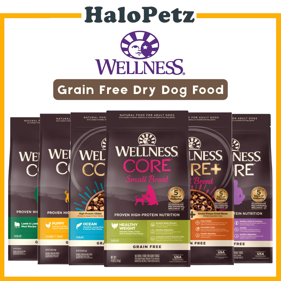 Wellness CORE Grain-Free Dry Dog Food 12lbs | High Protein Adult Dog Kibble