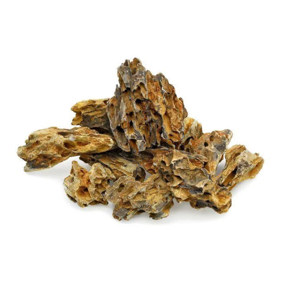 YEE Ornamental Natural Rocks Decorative Landscape