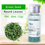 YEE Aquarium Plant Seeds