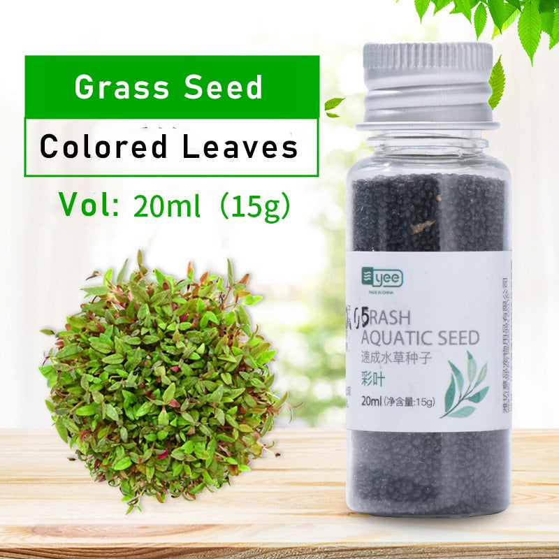 YEE Aquarium Plant Seeds