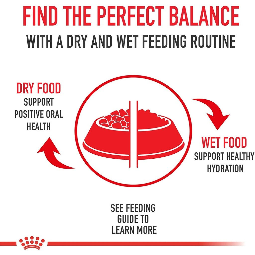 Royal Canin Adult Dog Dry Food | Poodle | Schanuzer | Cocker | Shih Tzu | Chihuahua | Dachshund | Pomeranian | Maltese