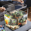 PET Transparent Fish Tank Aquarium with Cover
