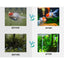 YEE Aquarium Algaecide 245ml