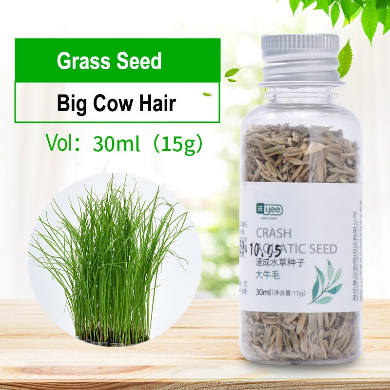 YEE Aquarium Plant Seeds