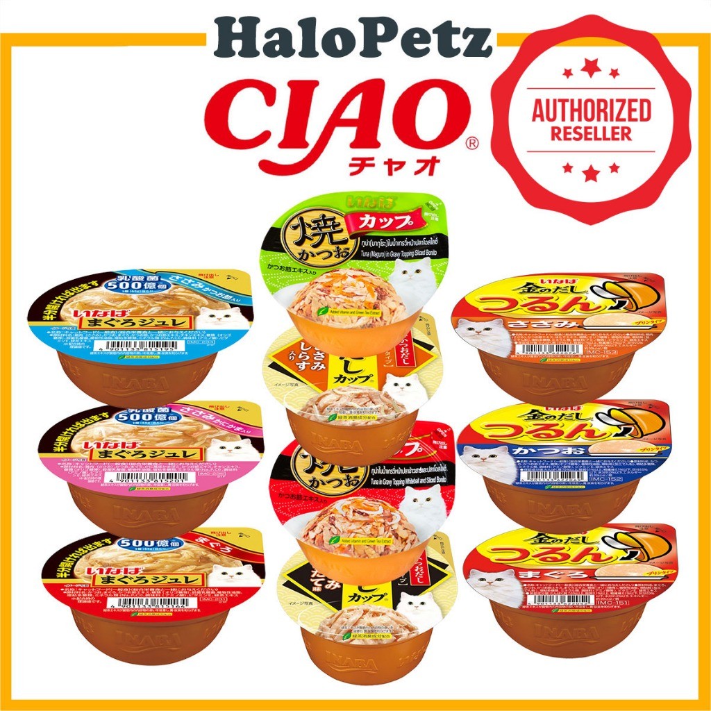 Ciao Cup Wet Cat Food | Grilled | Kinnodashi |Tsurun Pudding | Soft Jelly