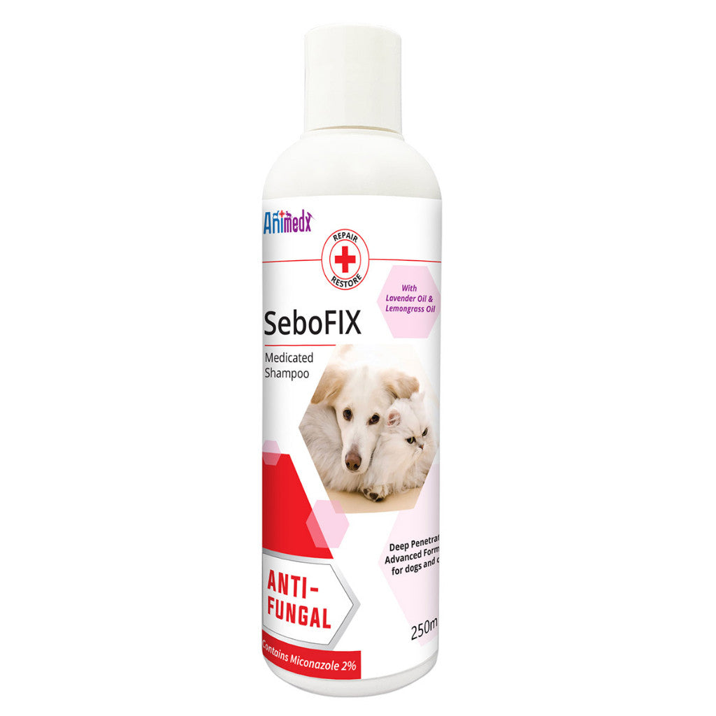 Animedx Sebofix Medicated Shampoo 250ml | Anti-Fungal for Cats & Dogs