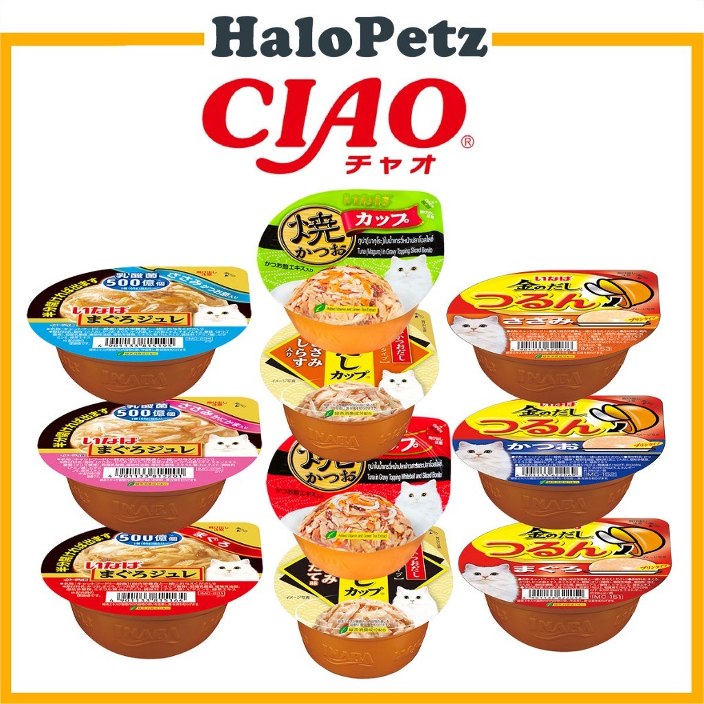 Ciao Cup Wet Cat Food | Grilled | Kinnodashi |Tsurun Pudding | Soft Jelly