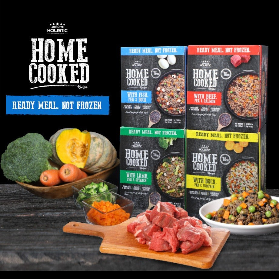 Absolute Holistic Home Cooked Style Recipe Dog Food 16 x 125g | Wet Dog Food Bulk Pack