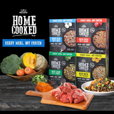 Absolute Holistic Home Cooked Style Recipe Dog Food 16x 125g