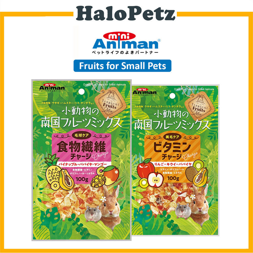 Mini Animan Dried Fruit Treats for Small Animal 100g