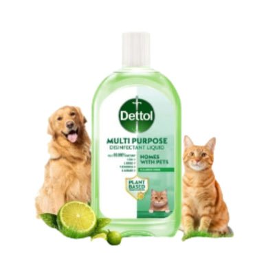Dettol Plant-Based Multipurpose Disinfectant Liquid 1L