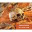 Resin Aquarium Decoration | Driftwood Cave, Skull & Plane Wreck Hideout