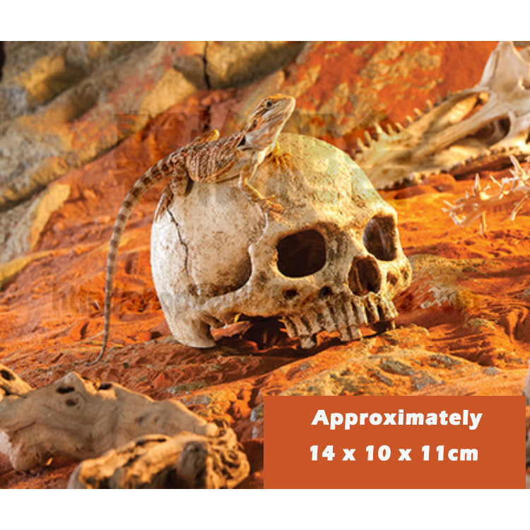 Resin Aquarium Decoration | Driftwood Cave, Skull & Plane Wreck Hideout