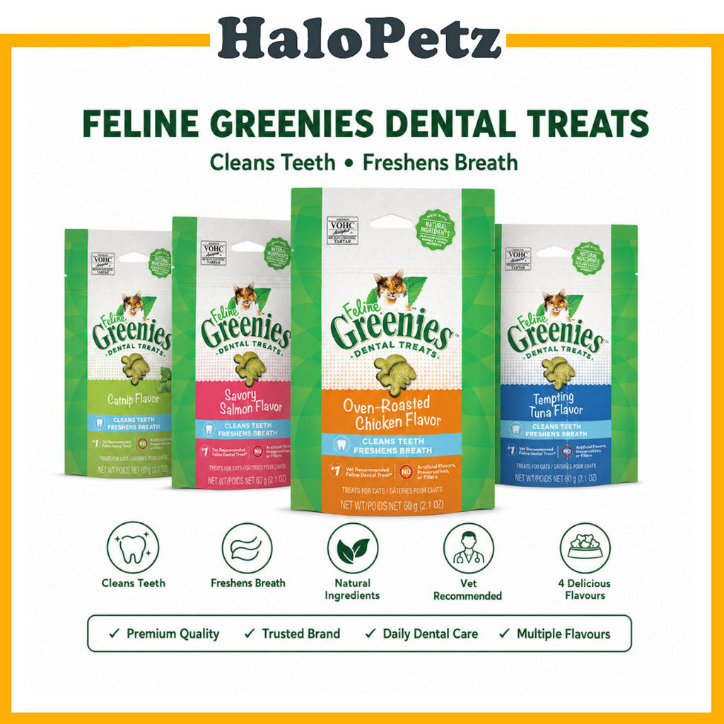 Greenies Feline Dental Treat 2.1oz | Tuna | Salmon | Catnip