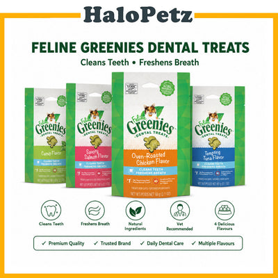 Greenies Feline Dental Treat 2.1oz | Tuna | Salmon | Catnip
