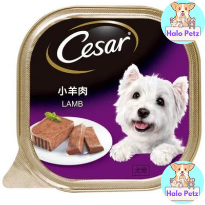 Cesar Wet Dog Tray Food 85g / 100g