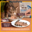 Absolute Bites Cat Wild Age Canned Wet Cat Food 80g x 6 | Life Stage Nutrition