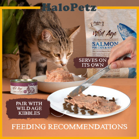 Absolute Bites Cat Wild Age Canned Wet Cat Food 80g x 6 | Life Stage Nutrition