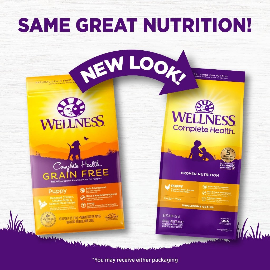 Wellness Grain Free Dog Food