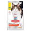 Hill's Science Diet Dry Cat Food | Adult, Kitten & Senior Formulas