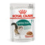 Royal Canin Cat Pouch 85g in Gravy -Sensitive Digestion Hairball, Urinary, Aging +11, Intense Beauty Wet Food