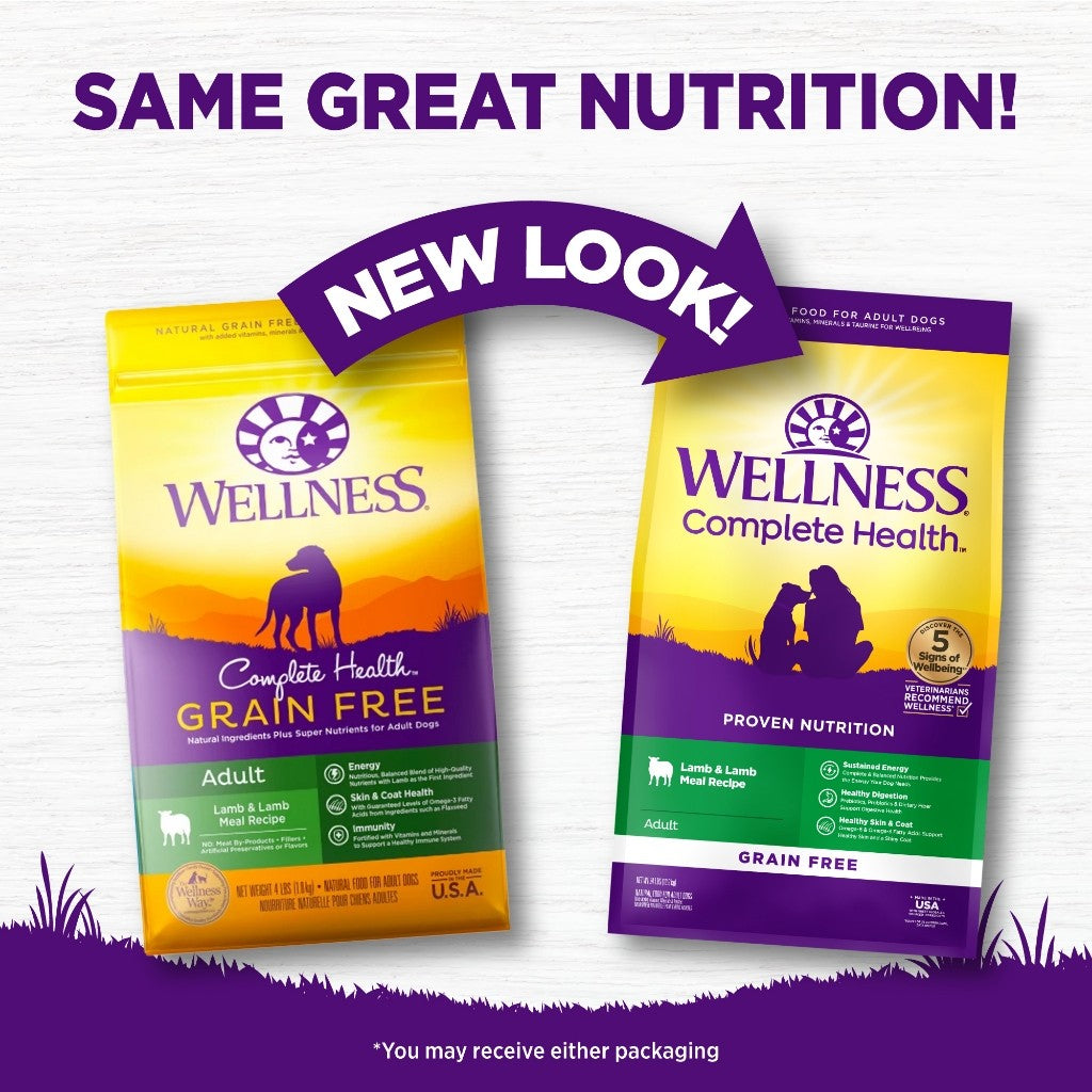 Wellness Grain Free Dog Food