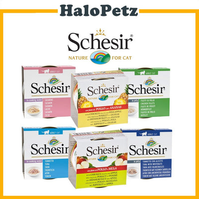 Schesir Cat Canned Food | Fruit | Jelly | Gravy | Water