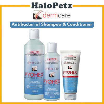 Dermcare Pyohex Antibacterial Dog Shampoo and Conditioner