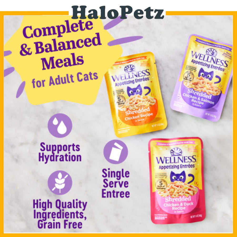 Wellness Core Tiny Tasters 1.75 oz