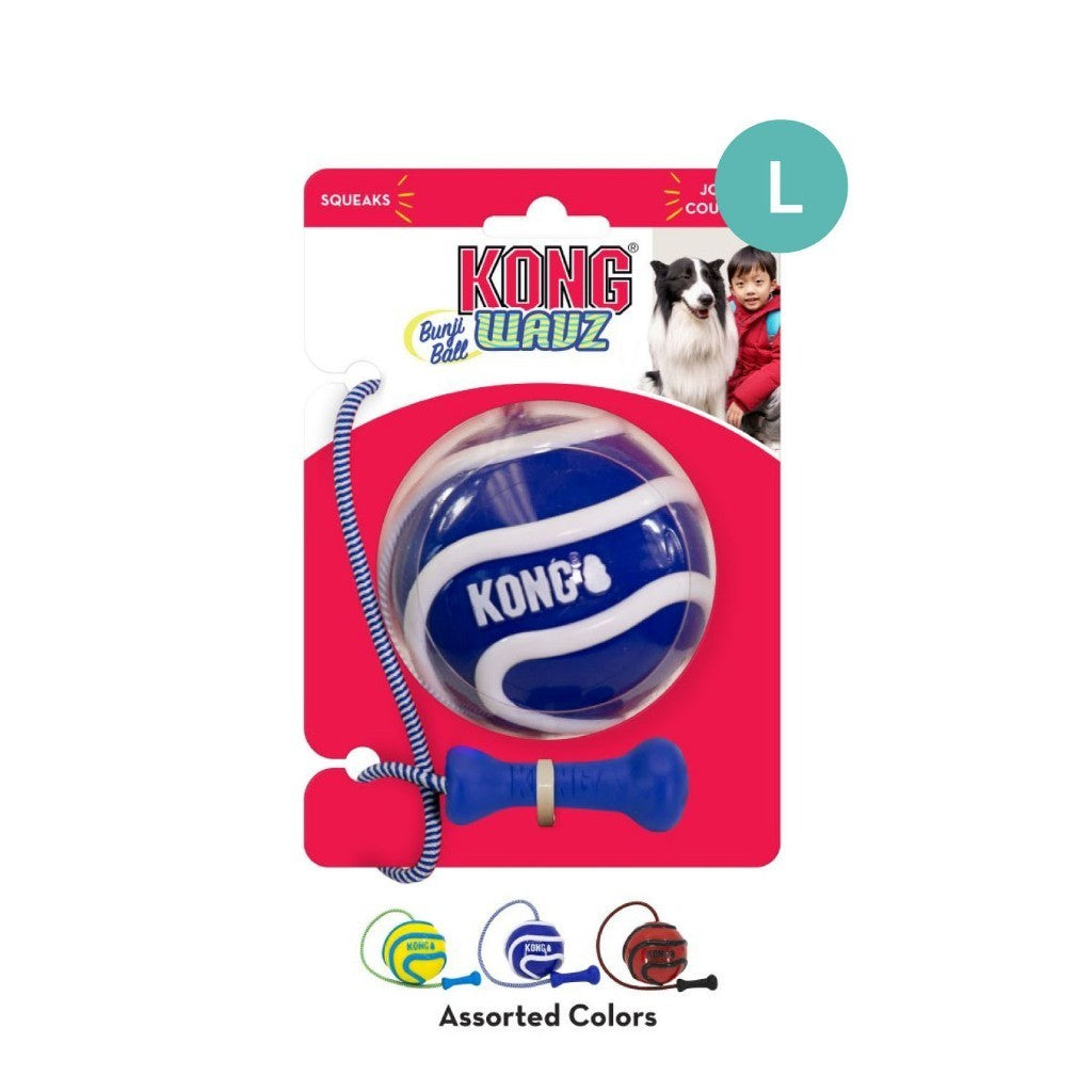 Kong Interactive Dog Toy | Eon | Babbler | Wrapz | Wavz | Rambler