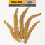 Jonsanty  Natural Grain Complete Parrot, Parakeet Food | Millet Snack