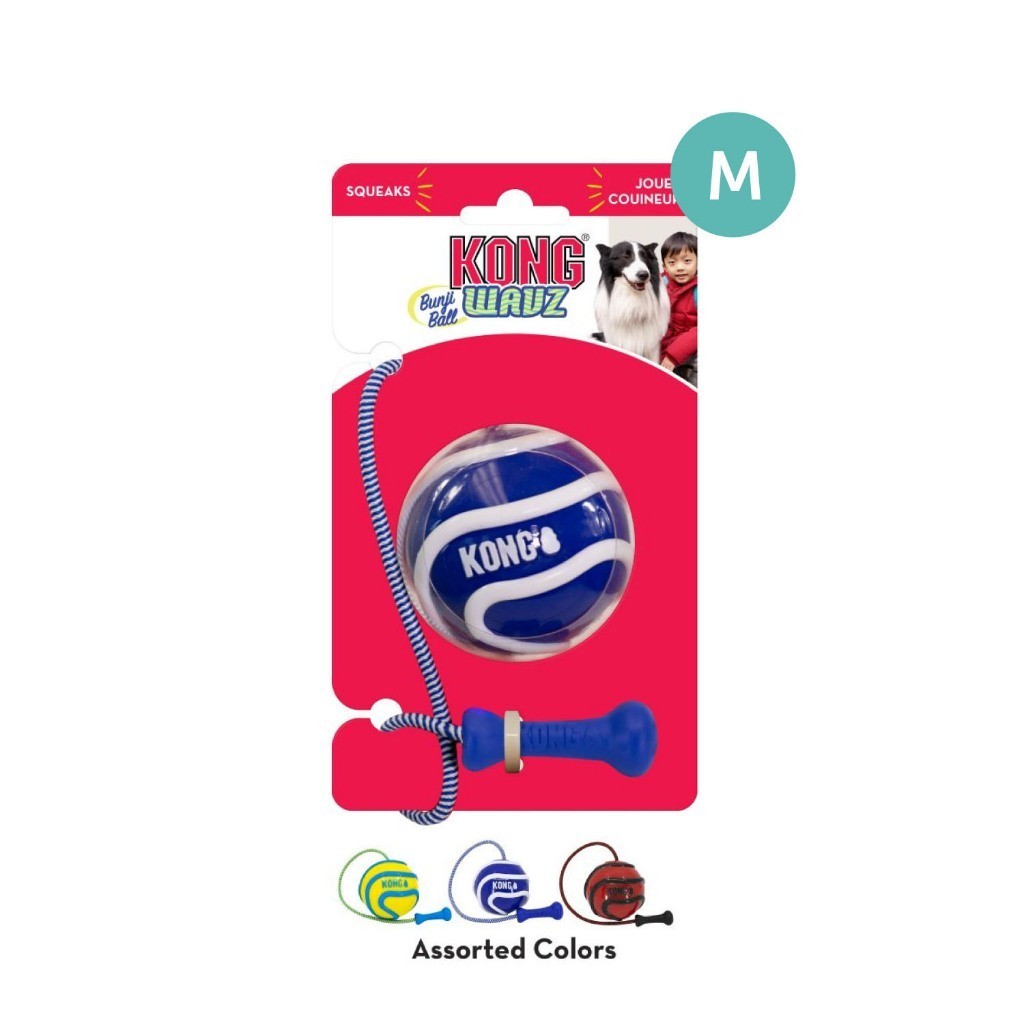 Kong Interactive Dog Toy | Eon | Babbler | Wrapz | Wavz | Rambler