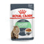 Royal Canin Cat Pouch 85g in Gravy -Sensitive Digestion Hairball, Urinary, Aging +11, Intense Beauty Wet Food