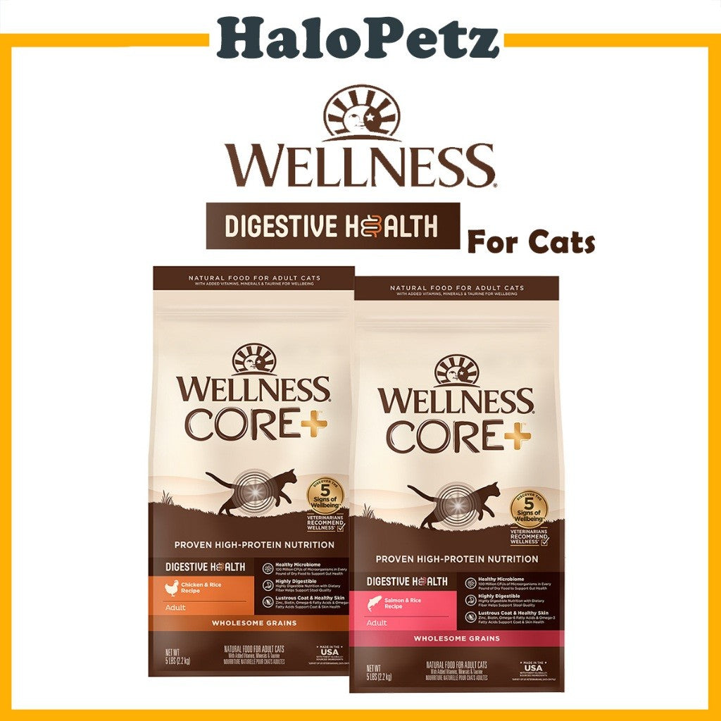 Wellness CORE Digestive Health Grain-Free Dry Cat Food | High Protein with Prebiotics