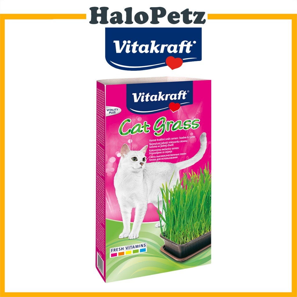Vitakraft Cat Grass 120g- For Digestion & Hairball | Cats