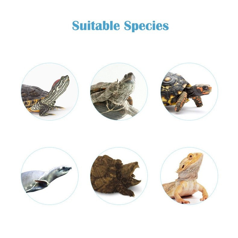 Jonsanty Godzilla Tortoise and Turtle Treatment Spray