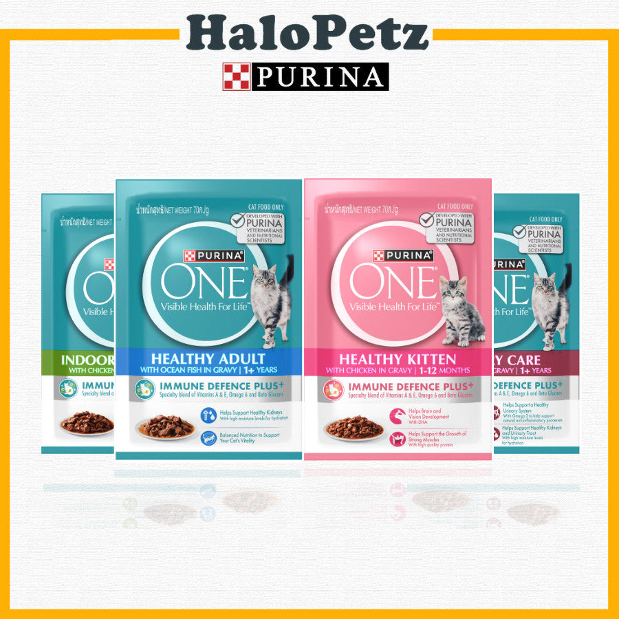 Purina ONE Cat Wet Food Pouch 70g