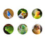 Jonsanty  Natural Grain Complete Parrot, Parakeet Food | Millet Snack
