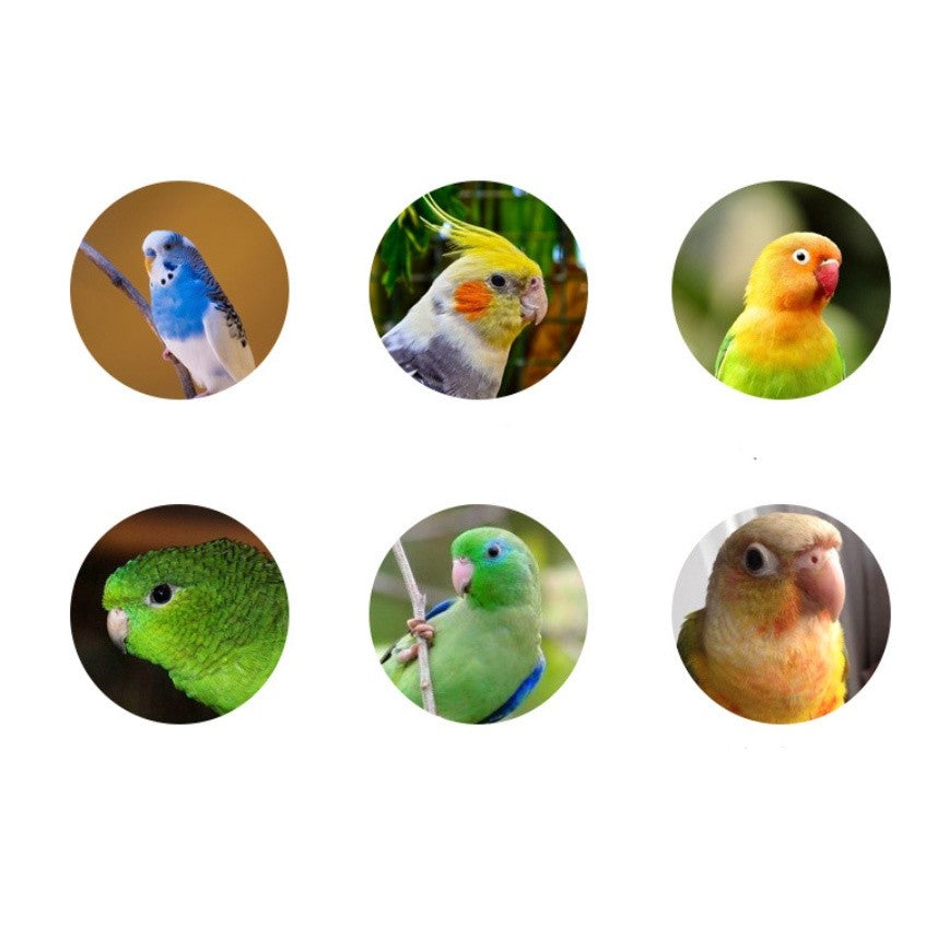 Jonsanty  Natural Grain Complete Parrot, Parakeet Food | Millet Snack
