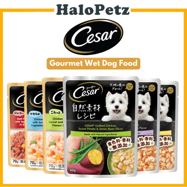 Cesar Dog Pouch 70g