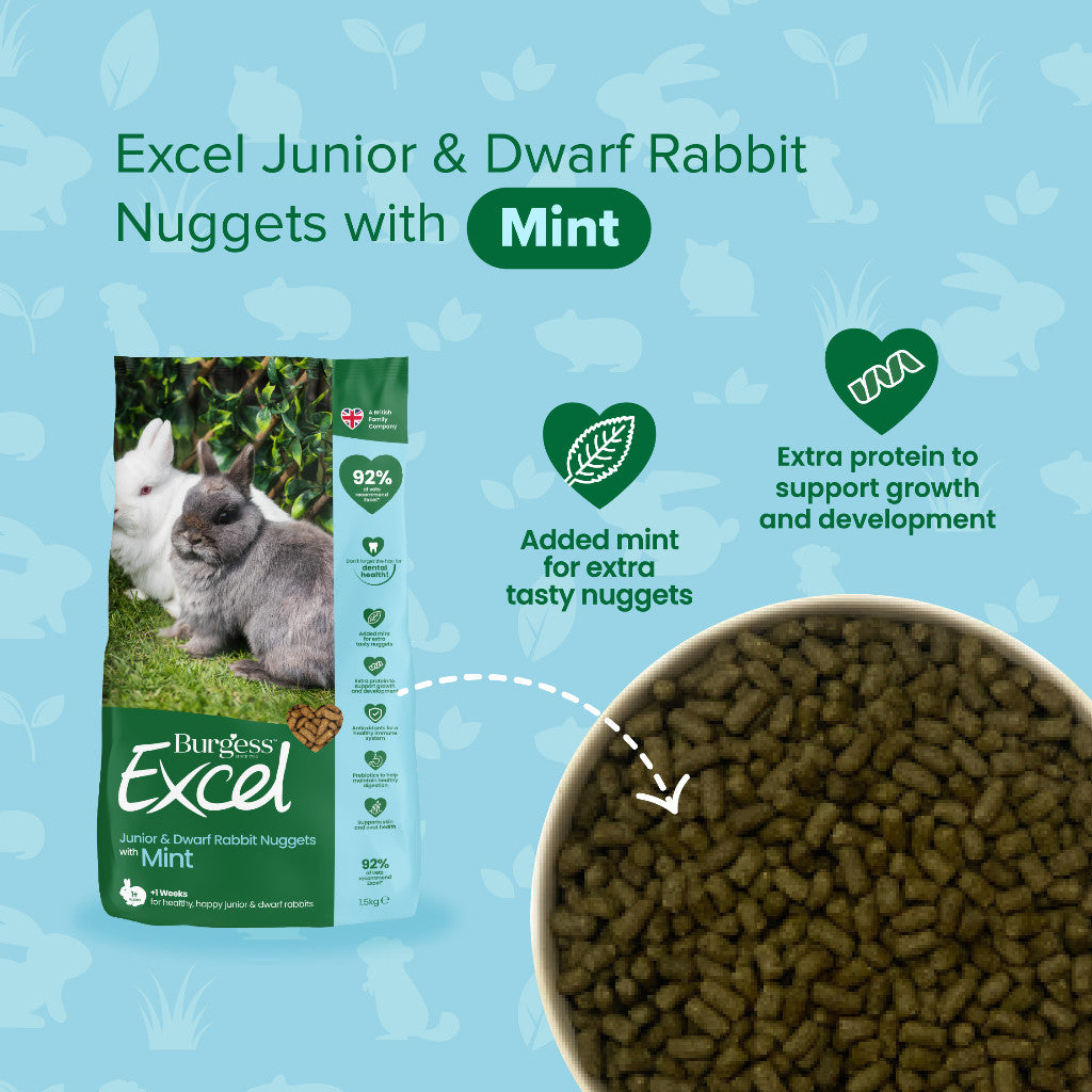 Burgess Excel Nuggets | Rabbit Chinchilla Guinea Pig Food